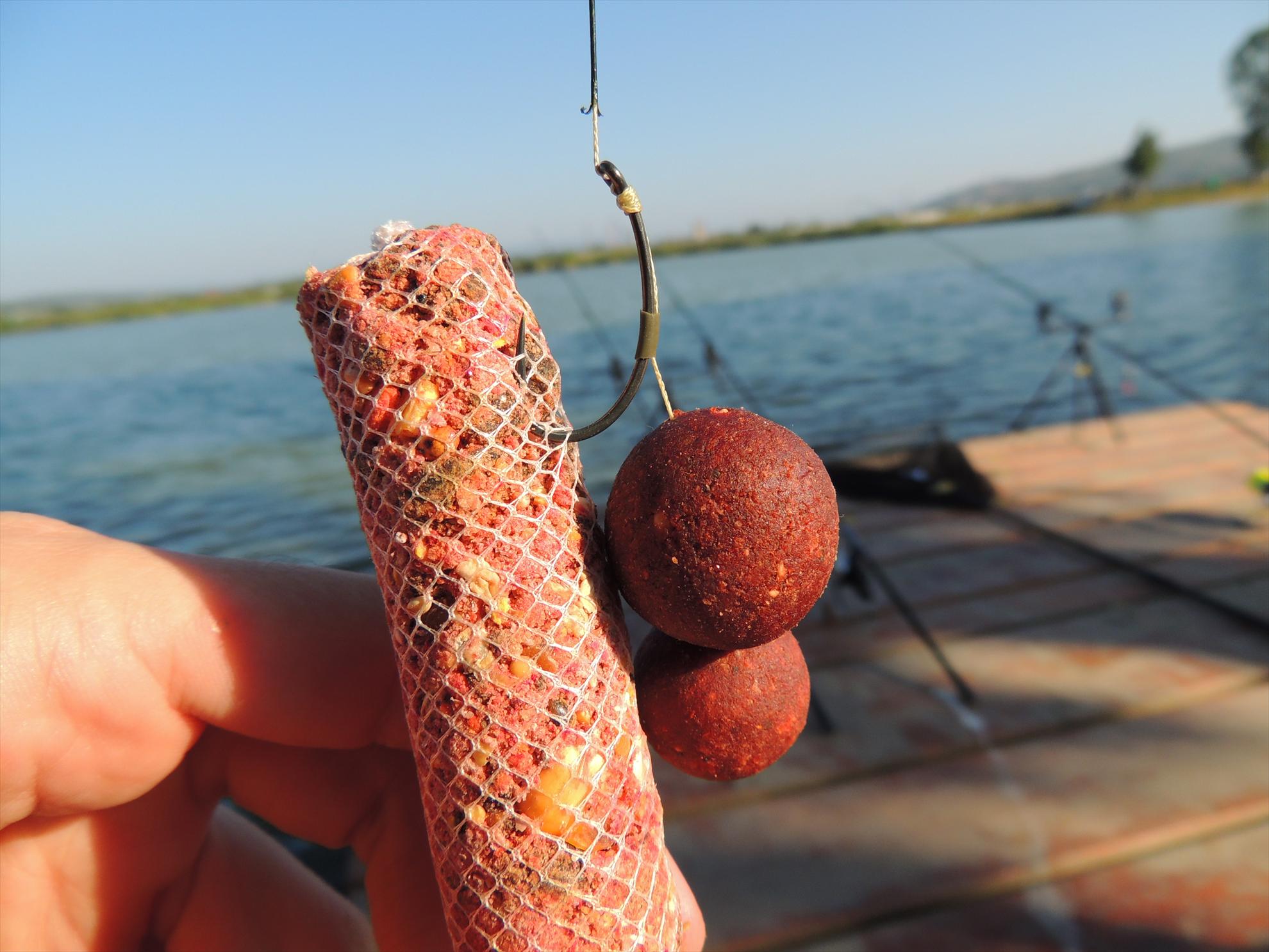 Pleasa - dscn0604.JPG